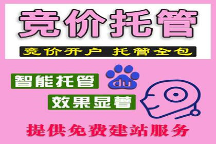 案例剖析：SEM助力企业业绩增长